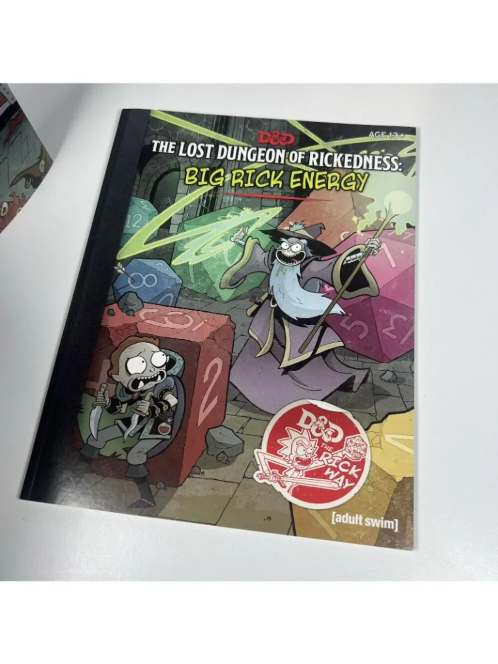 Dungeons & Dragons vs Rick & Morty Tabletop Roleplaying Game Adventure Complete